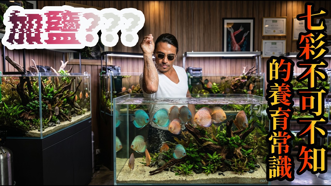 [寵物]七彩神仙14 #寵物 #水族 #淡水魚之王 在水族飼養裡，「加鹽」是一個常見操作，但原因往往被誤解。