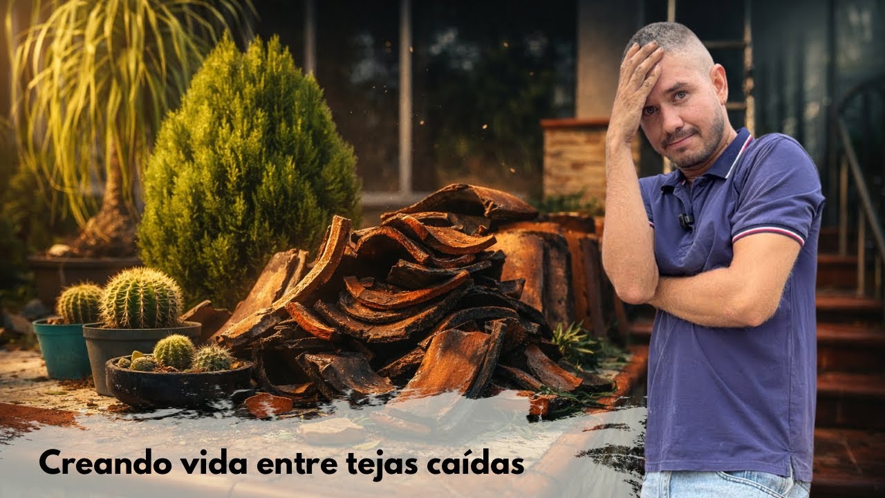 Empezaron las remodelaciones y TEMO POR MIS PLANTAS hice esto para el estrés 