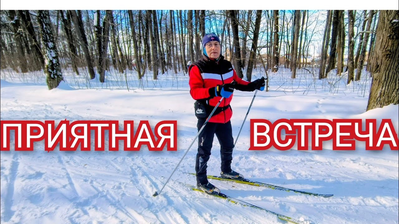 ВСТРЕЧА В ДУБРАВЕ НА ЛЫЖНЕ.#зима #лыжи 