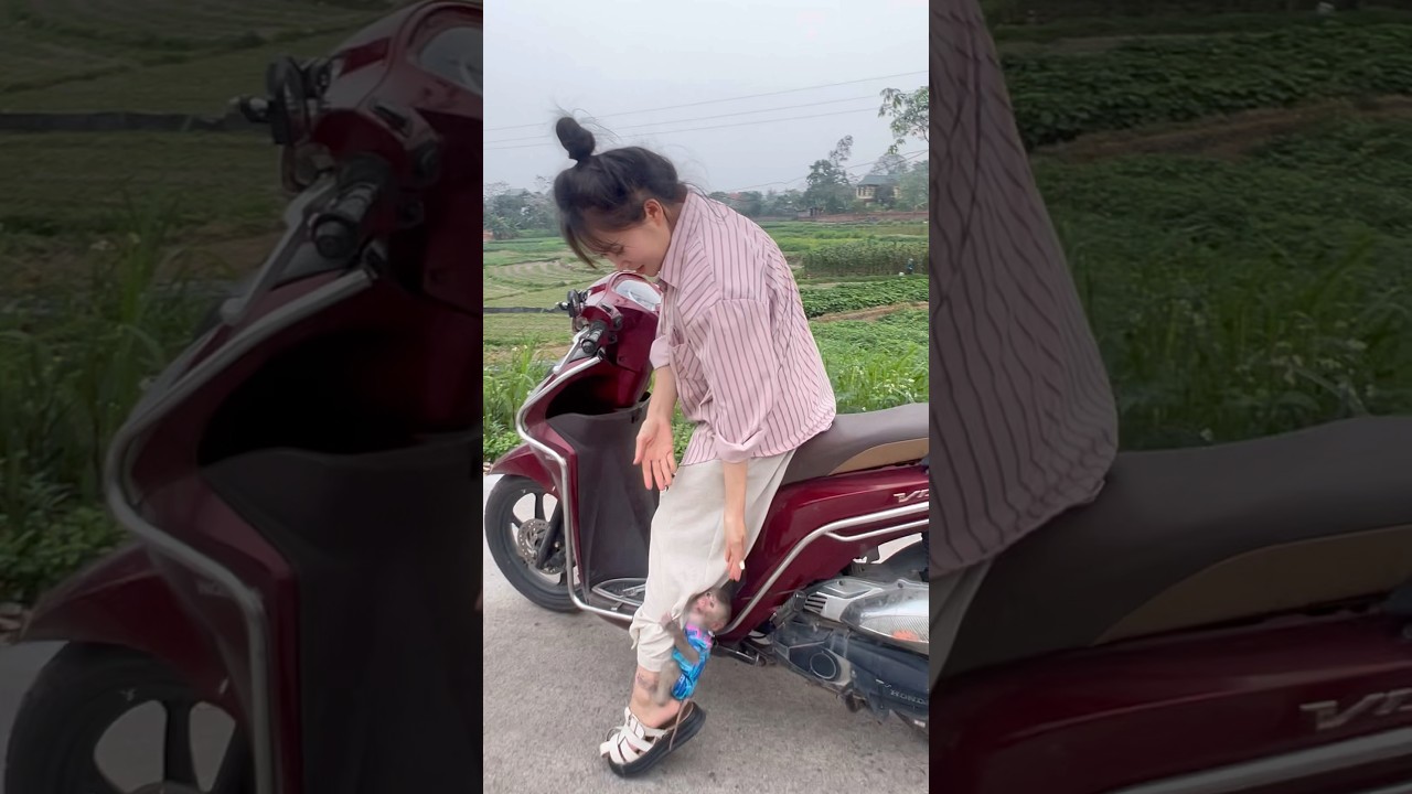 The mother turned around in surprise to see the monkey running after her.😍😍