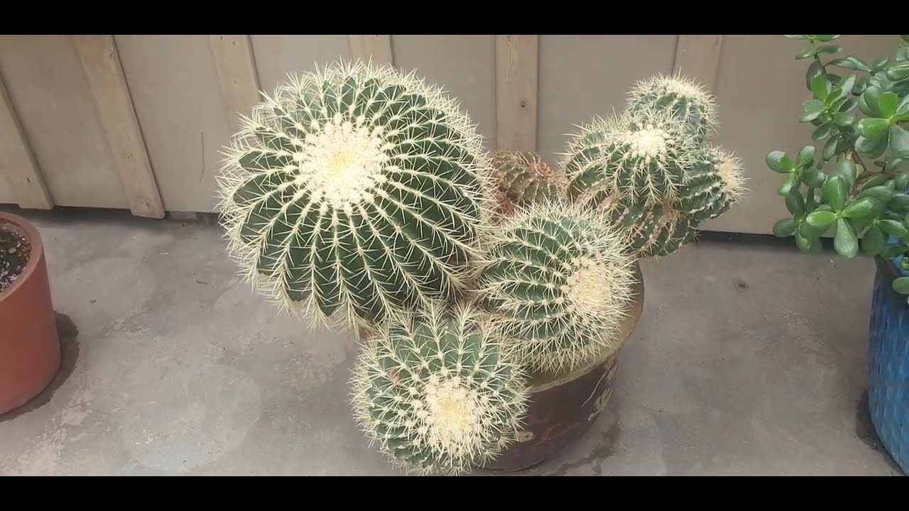 Royal Botanical Gardens, Burlington ON Canada
