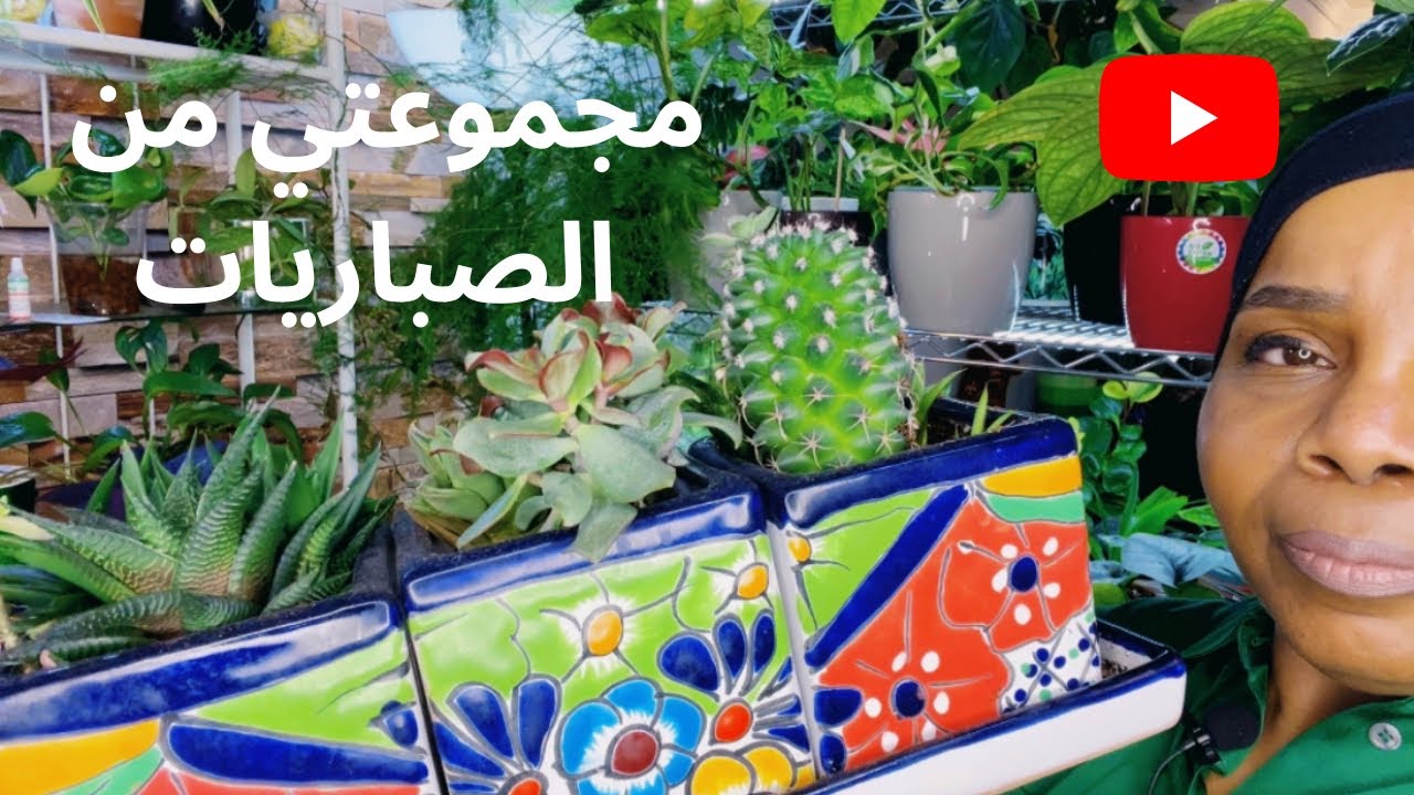الصباريات والعصاريات انواع مختلفة في مجموعتي رعاية واهتمام وموعد سقي