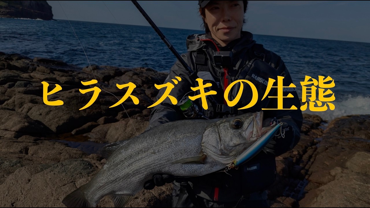 ヒラスズキを釣るなら知っておくべき生態と行動パターン