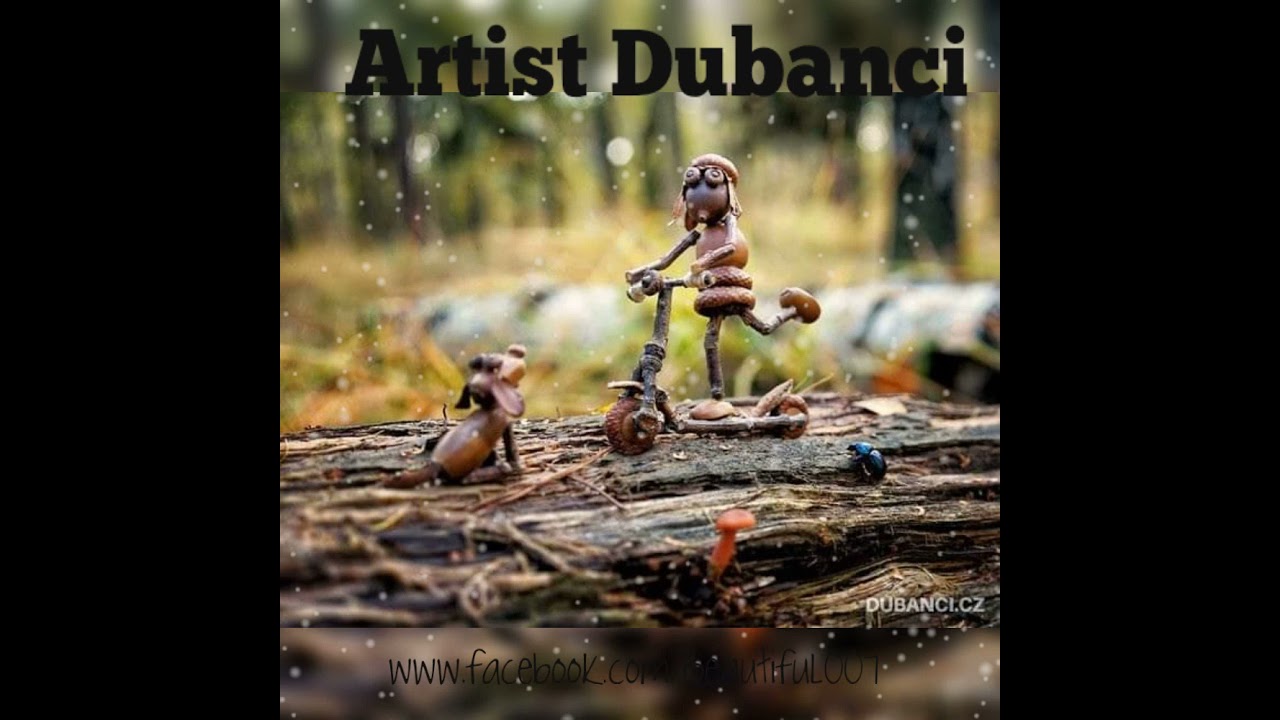 Artist Dubanci