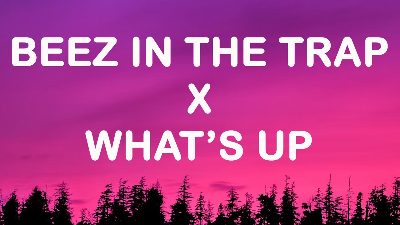 Nicki Minaj, 4 Non Blondes - Beez In The Trap X What’s Up? (TikTok Mashup) [Lyrics]