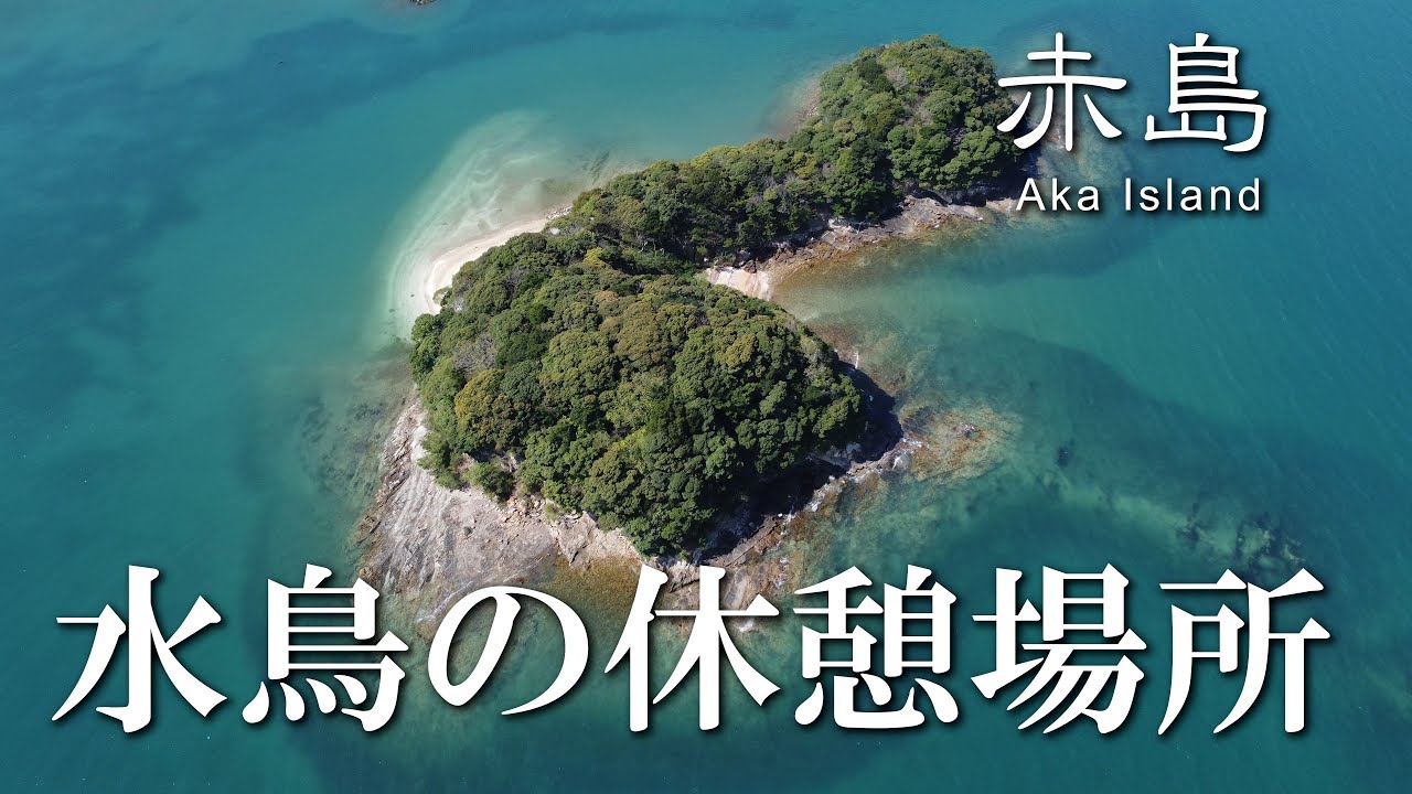 【熊本】赤島　編　（ Vol.366 ）／多島海に浮かぶ水鳥たちの無人島【4K空撮】