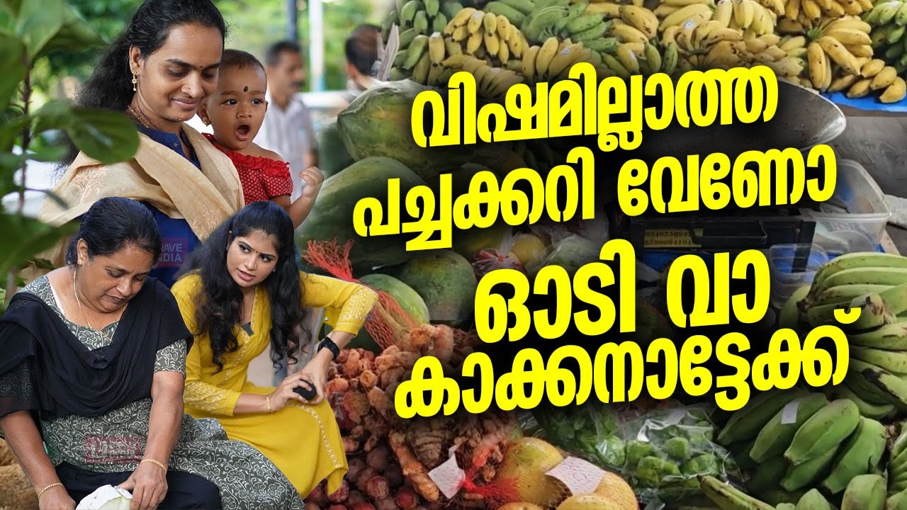 വിഷമില്ലാത്ത പച്ചക്കറി വേണോ ? ഓടി വാ കാക്കനാട്ടേക്ക്  || ഇവിടെ നാട്ടുനന്മയുണ്ട് || NAATTUNANMA