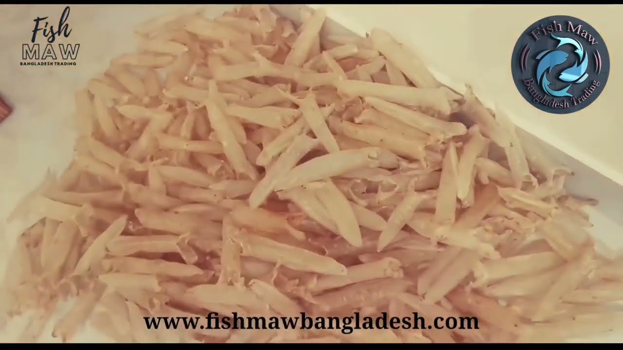 Top High Quality Fish Maw Exporter | Large Quantity Dried & Fresh Raw Maw Exporter |鱼鳔出口商