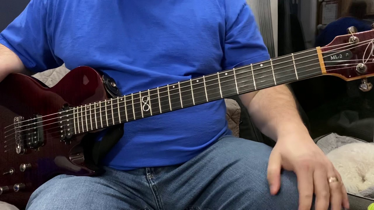 Filter “Hey Man, Nice Shot” - Guitar Cover