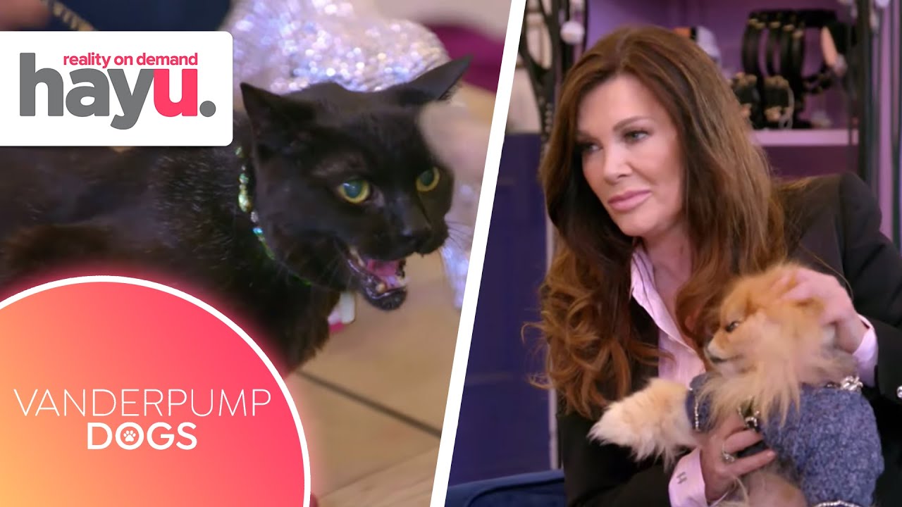 A Cat Wants to Adopt Lisa Vanderpump's Dog | Season 1 | Vanderpump Dogs