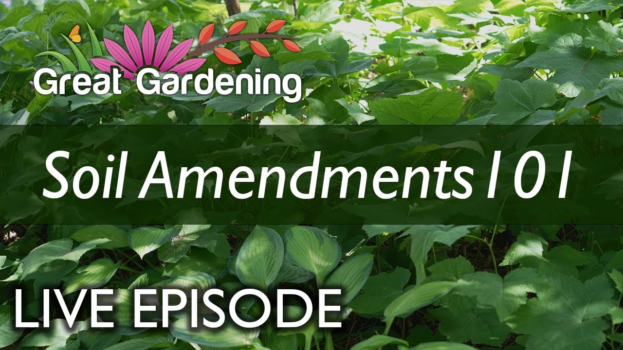 LIVE EPISODE: Soil Amendments 101