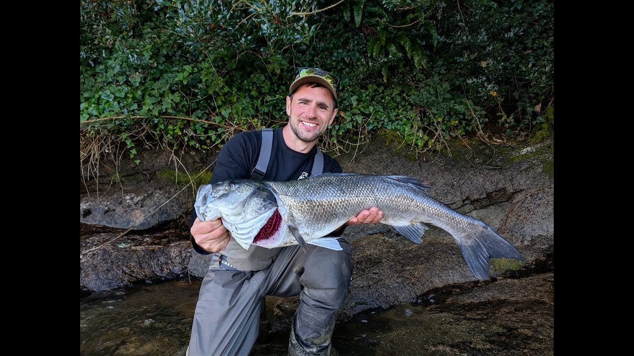 South Devon Bass Guide | Near Double Figure Bass Release!!!