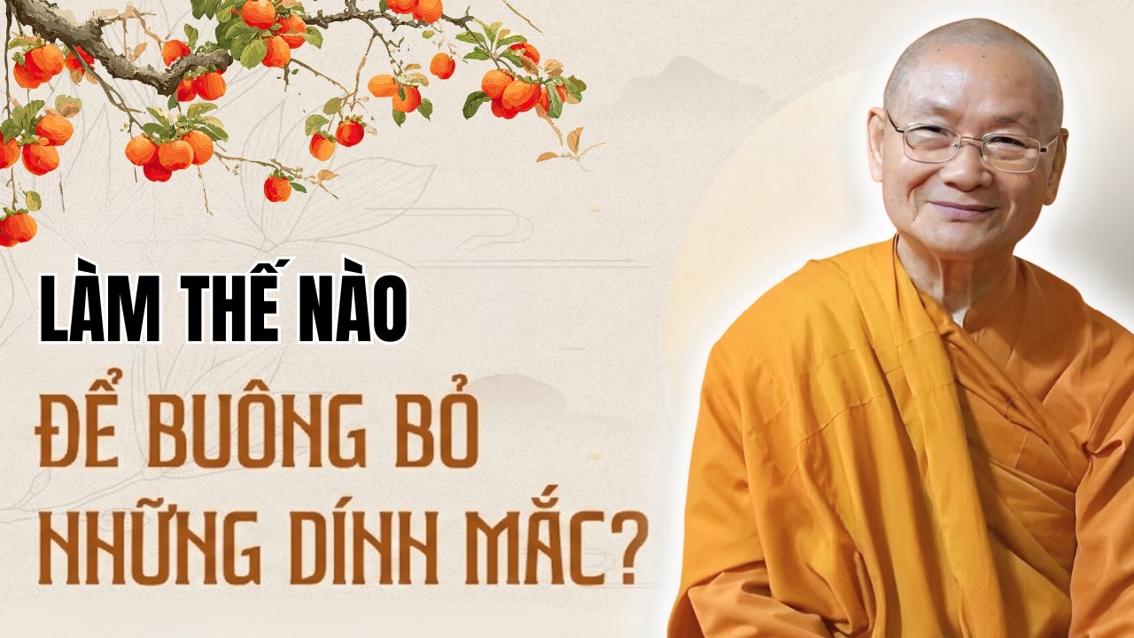 L&agrave;m Sao Để Bu&ocirc;ng Những D&iacute;nh Mắc Trong T&acirc;m? | HT. Vi&ecirc;n Minh