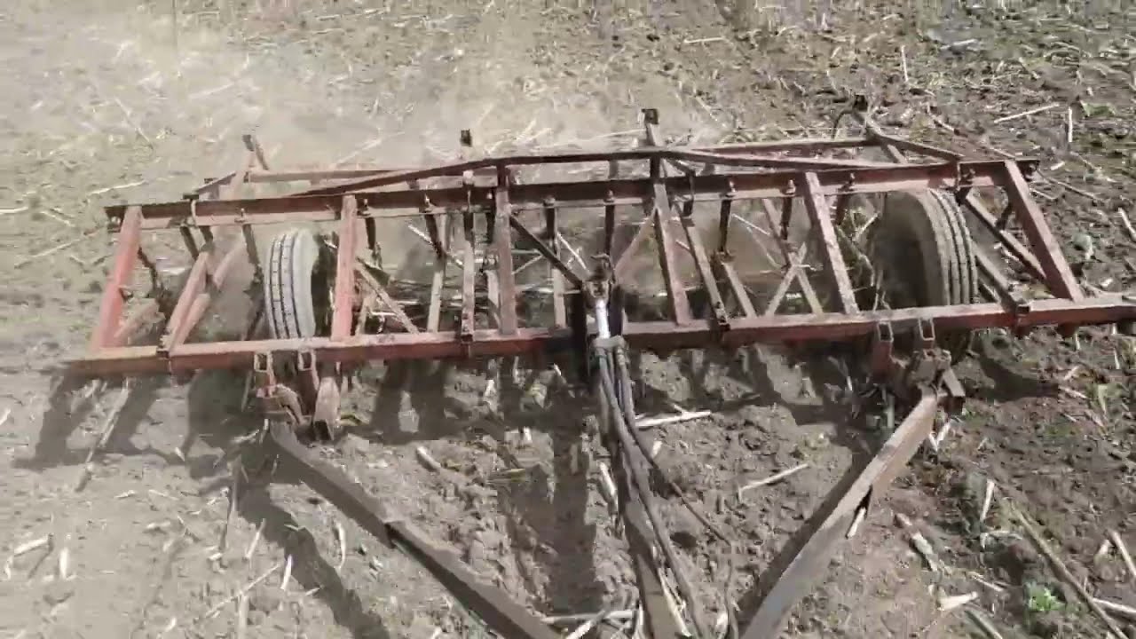 Культивтрую поле стареньким культиватором КПС-4.2