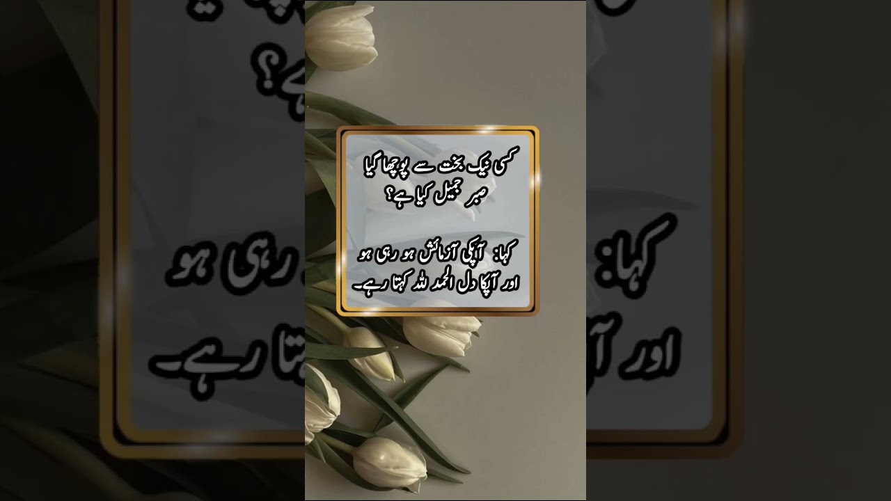 sabre jamel | صبر جمیل | @BestUrduQuotesCollections #urduwisdom #quotes