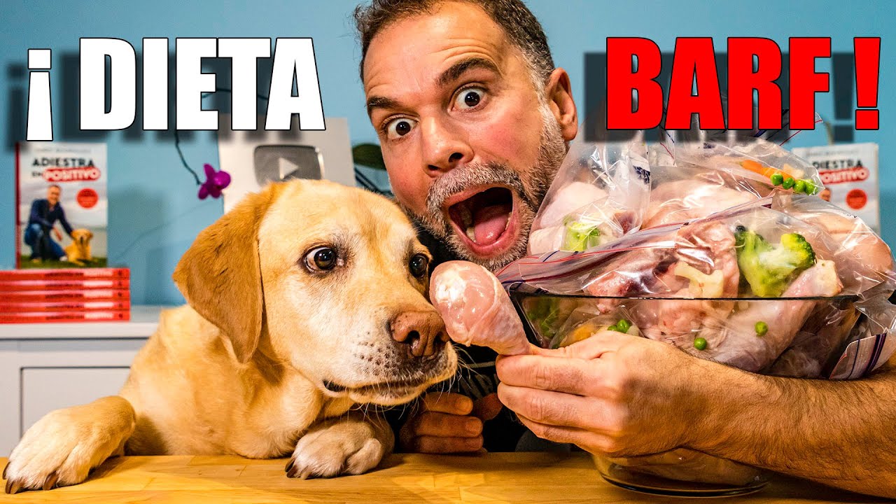 ¿Dieta BARF? 1.09€/ración - Preparación DIETA Sana y Equilibrada para tu PERRO