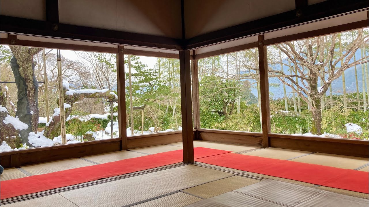 京の奥座敷⛄️大原『宝泉院から散策🚶‍♀️』