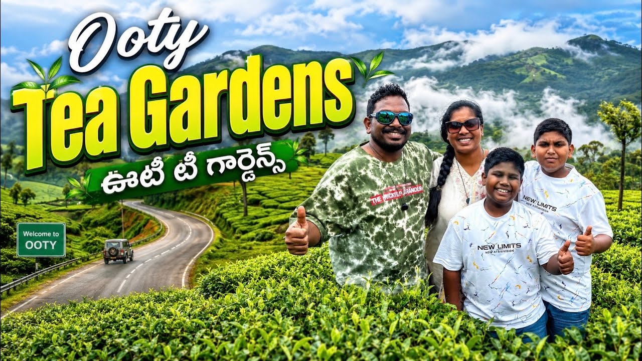 Ooty Tea Gardens || Places to Visit in Ooty || Ooty Full tour in Telugu #ooty #teagarden #travel 