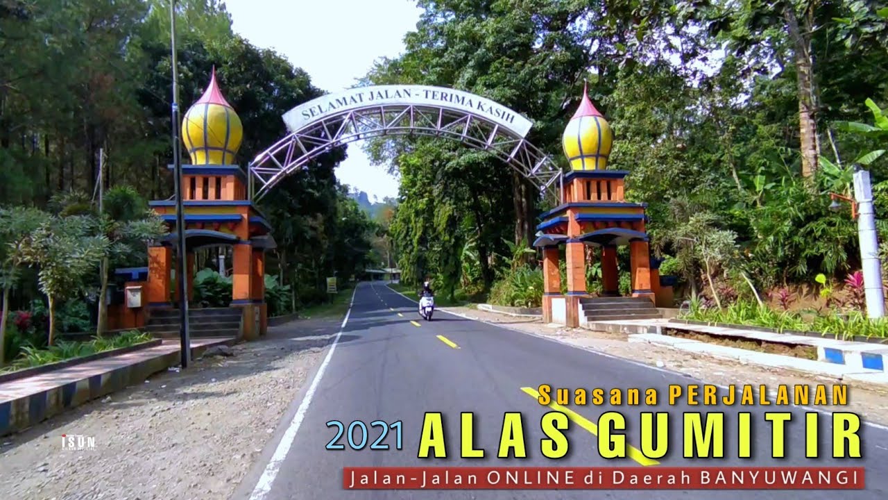 Suasana ALAS GUMITIR Terbaru 2021 - Jalur Gumitir dari JEMBER ke BANYUWANGI Lokasi DESA PENARI ASLI