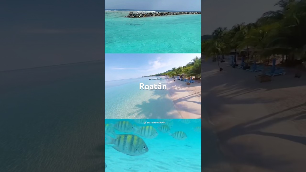 🤩🏝️🇭🇳 Roatán - Islas de la bahía Honduras