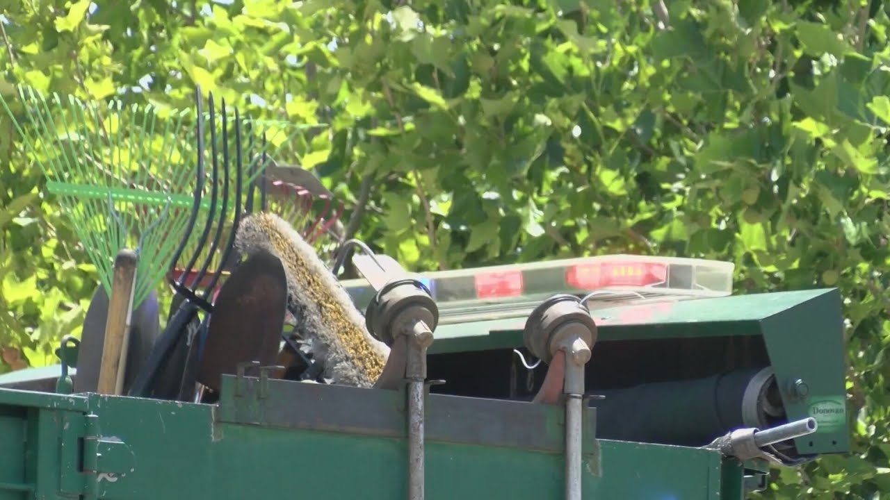City officials speak on efforts to reduce weeds throughout Albuquerque