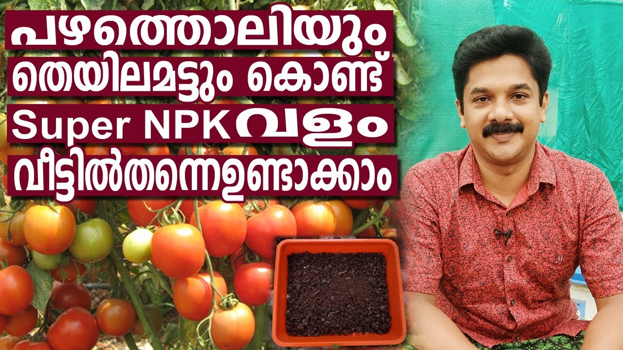 How to make organic NPK fertilizer at home | NPK വളം വീട്ടിൽത്തന്നെ ഉണ്ടാക്കാം