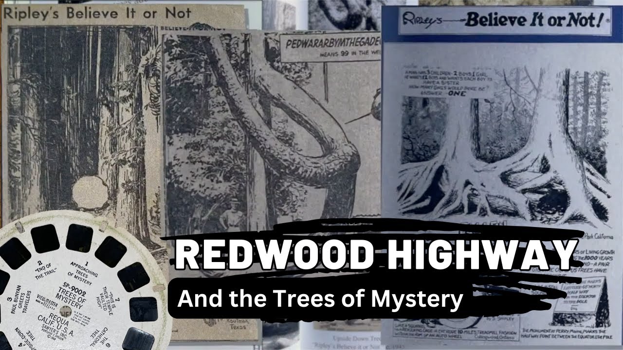 History of the Redwood Highway's Roadside Attractions - 1940's Compared to Today