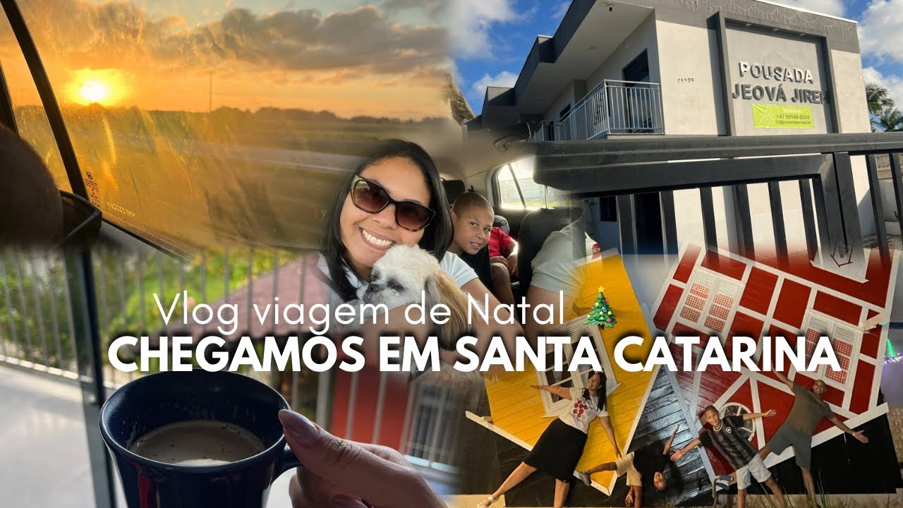 PRIMEIRO DIA NA ESTRADA /CHEGAMOS EM SANTA CATARINA / VIAJANDO COM PET 😱🐶