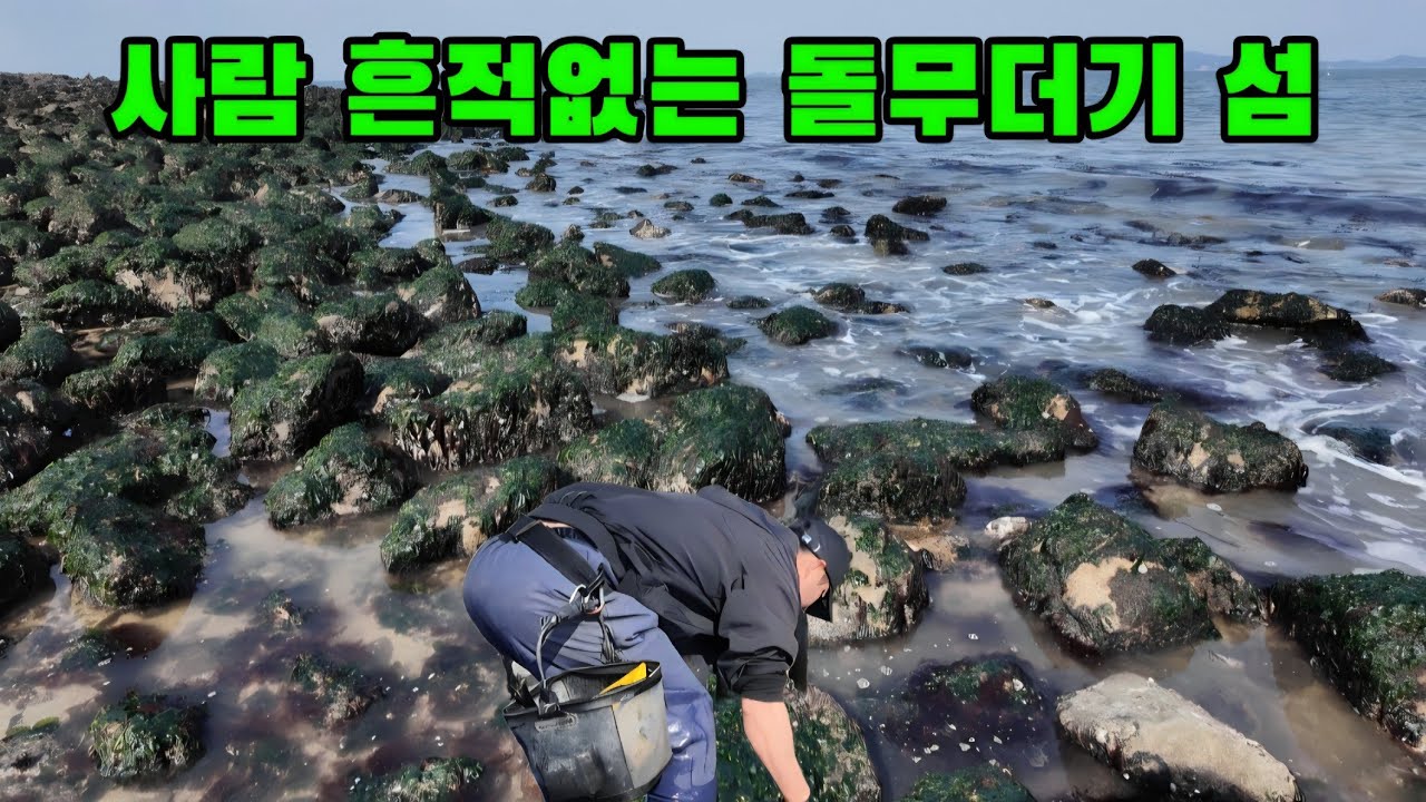 잊혀진 돌섬 웅덩이에서 잔뜩 짊어지고 왔습니다