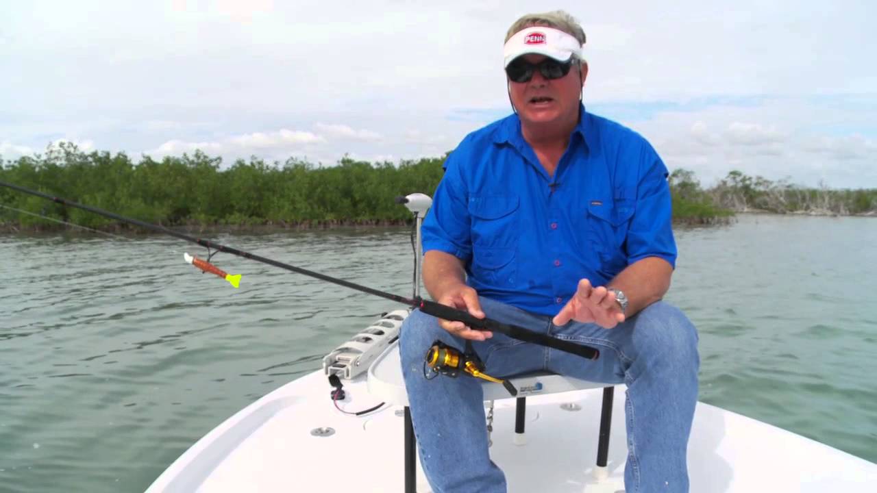 How to Find Bait Fish