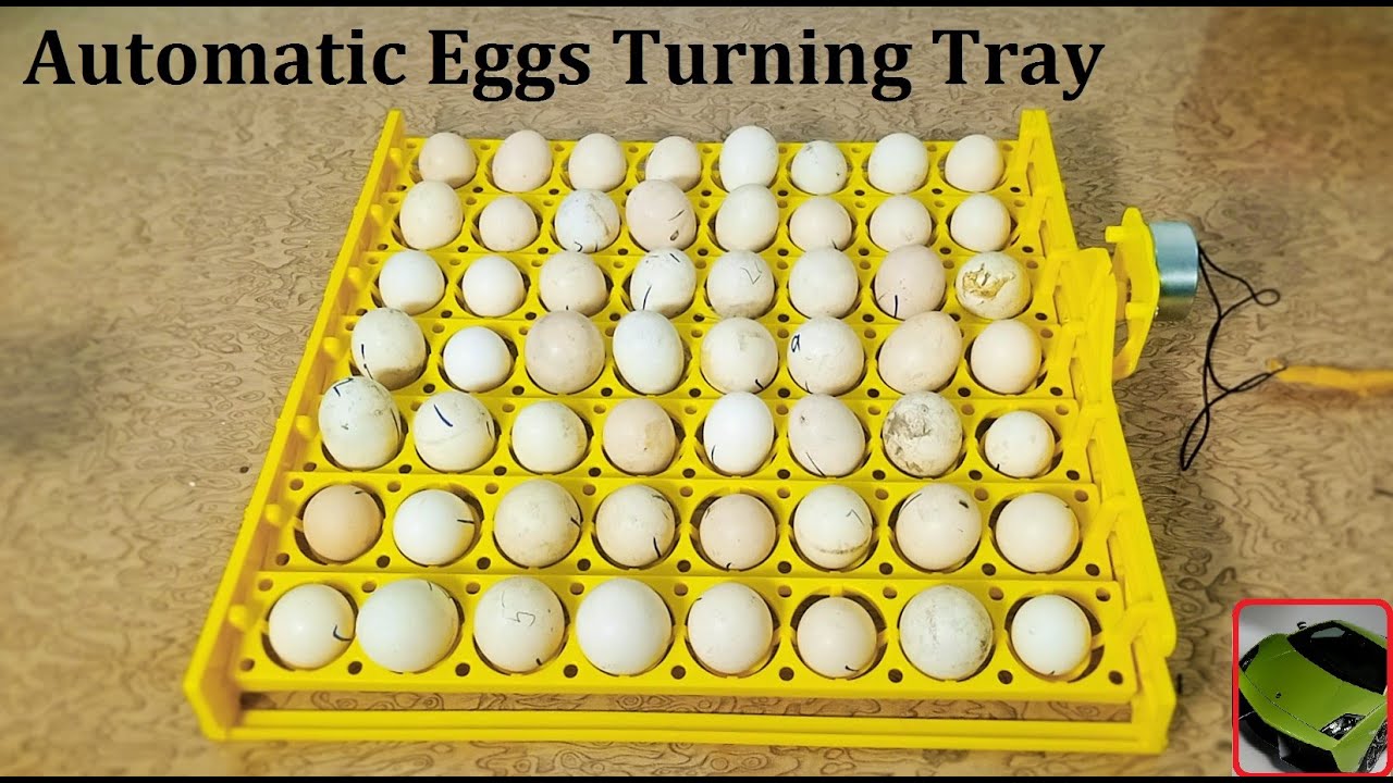 Best 48 Eggs Automatic Egg turning tray for Egg Incubators