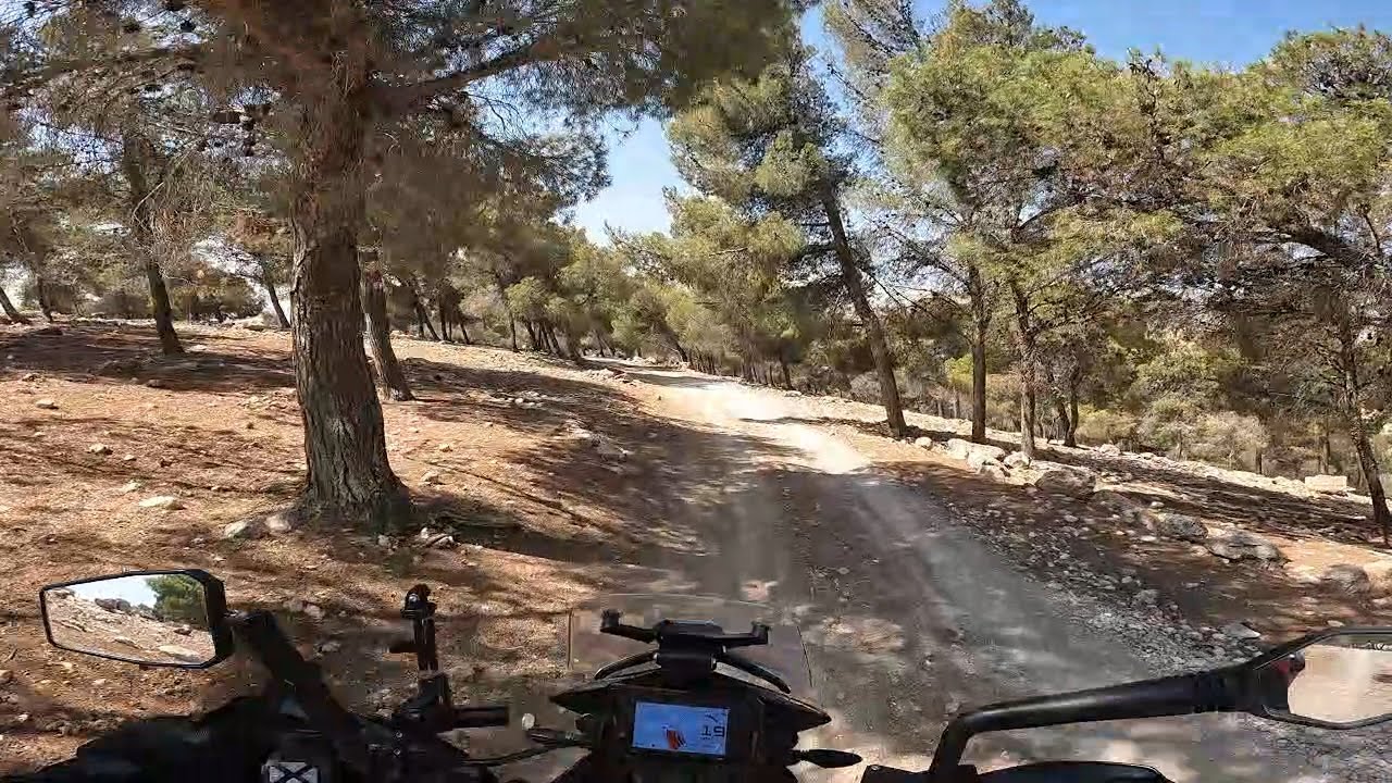 جولة #9 جولة اوف رود (off road) في واحدة من أجمل غابات الاردن في منطقة صروت الجزء الثاني