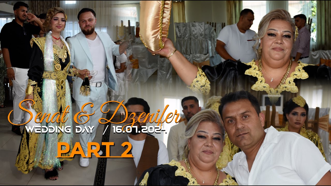 Bijav k Gazdija Elvis & Gulsefa 