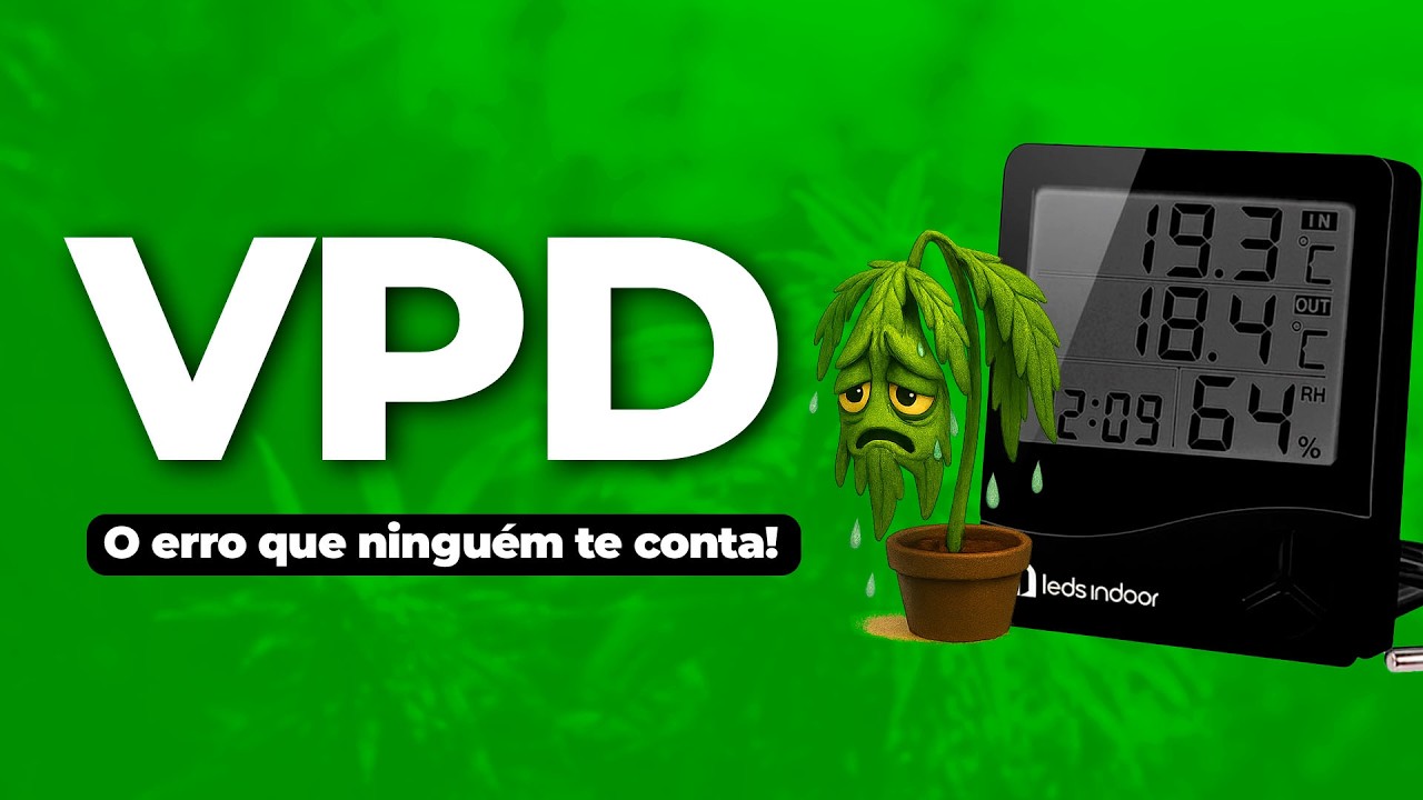 O MITO DO VPD no Cultivo Indoor: Por Que Sua Planta Trava Mesmo Com LED e Fertilizante