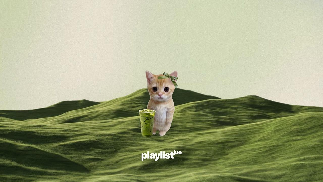 Playlist | it’s okay, the cat is with me. [indie pop/dreamy]