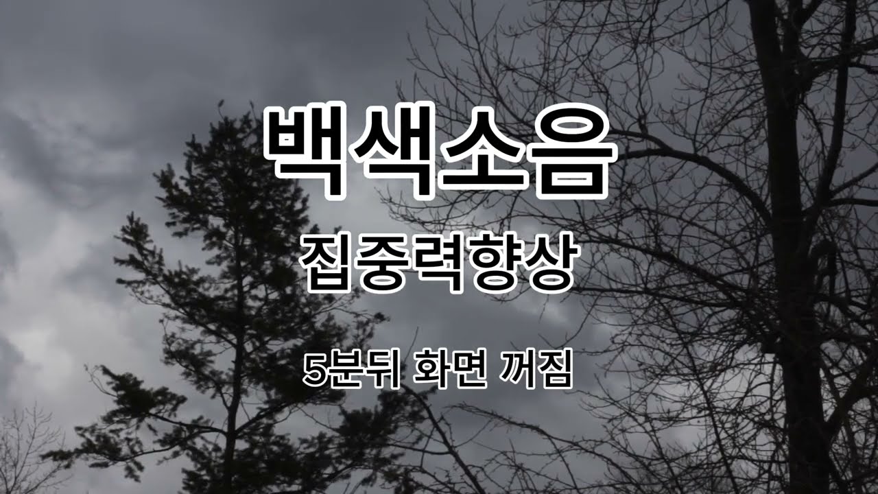 백색소음 바람소리_white noise