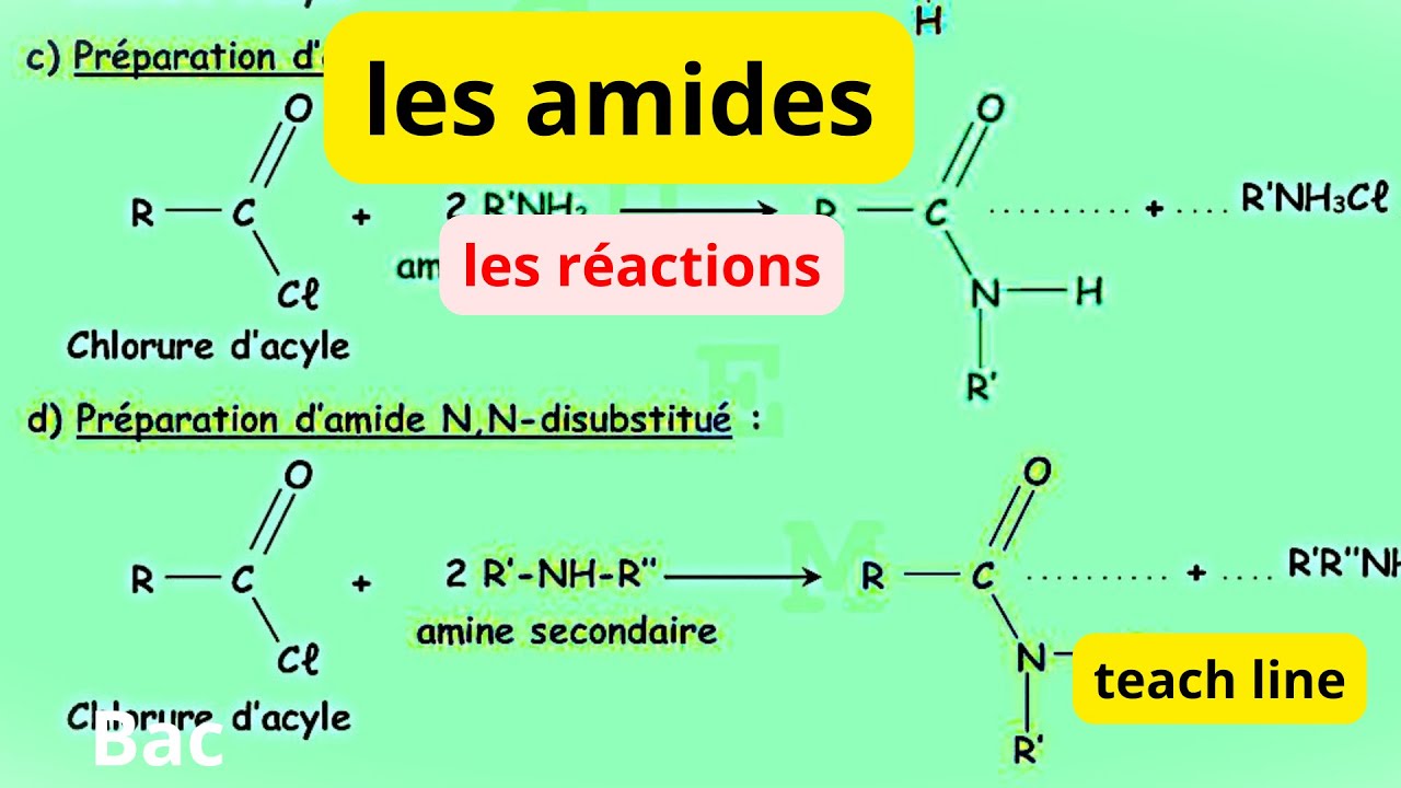 02_les amides(les réactions ) :Résumé de cours/Révision bac principale