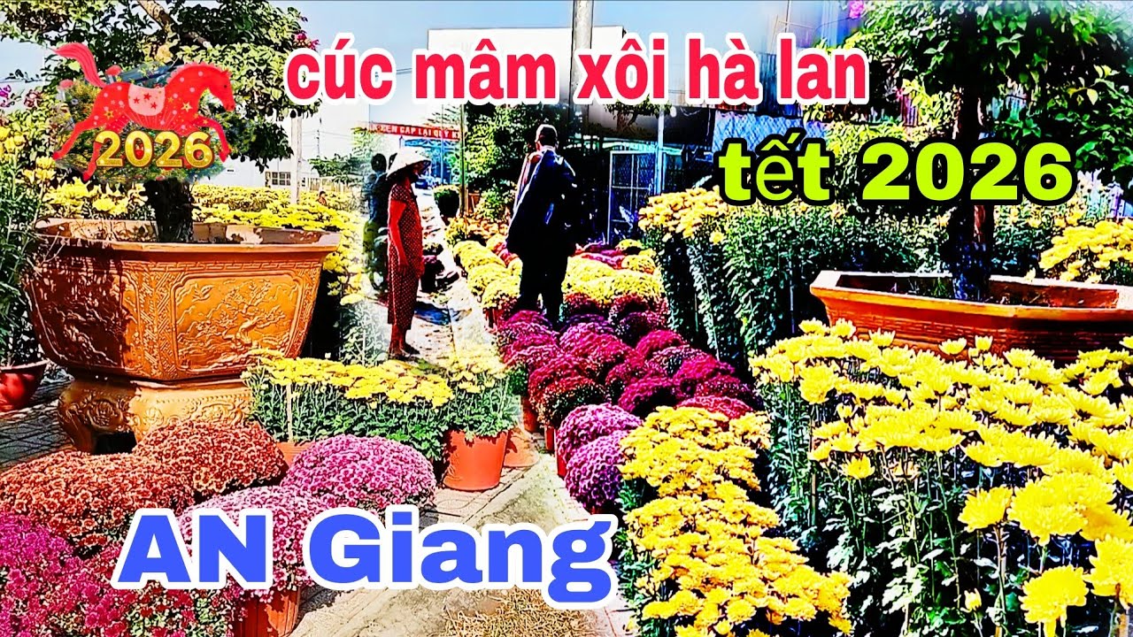 Hoa 