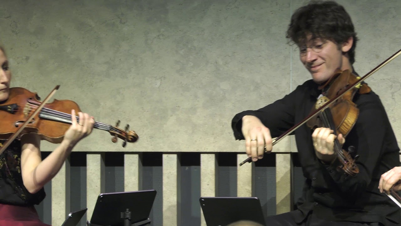 Navarra String Quartet Plays Ravel: String Quartet in F major (Vif et agit&eacute;)