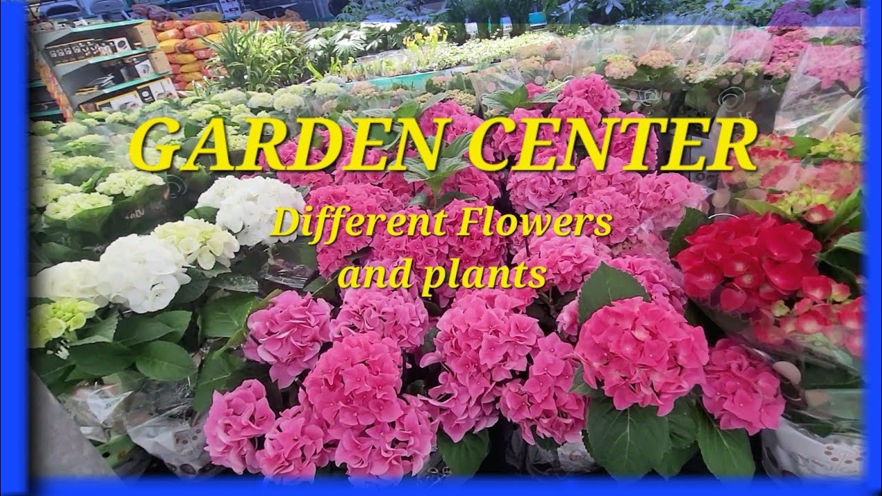 HUGE GARDEN CENTER SA HOLLAND / Beautiful Fowers and Plants / SHOPPING FOR THE GARDEN!!!
