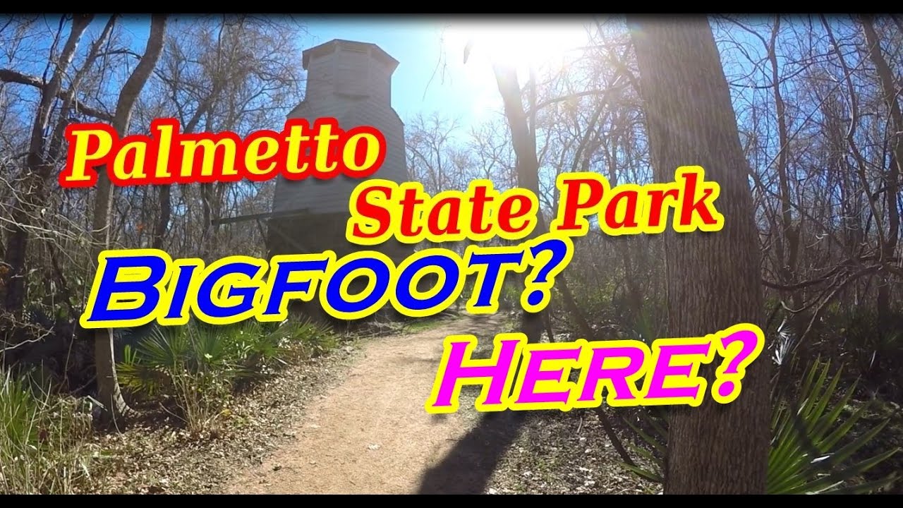 A Wonderful Place To RV Camp! Is Bigfoot In Palmetto State Park?