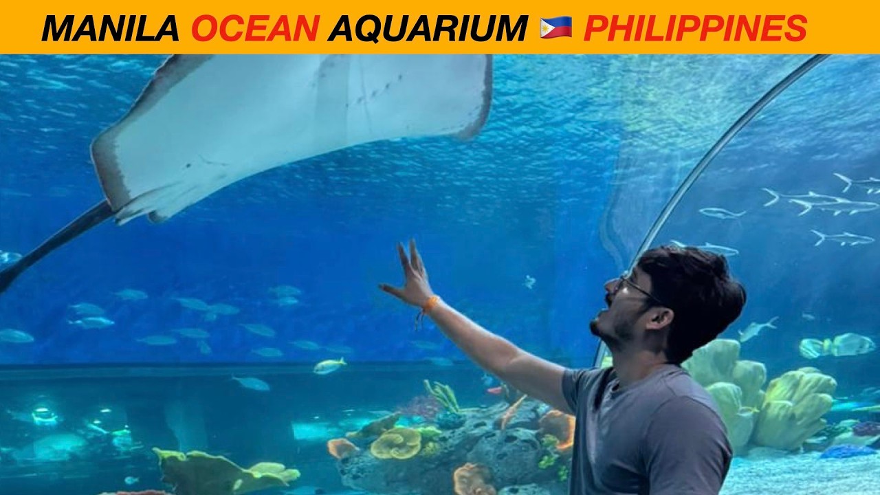 PHILIPPINES 🇵🇭FIRST WORLD CLASS MANILA AQUARIUM#manila #philipines #aquarium #metromanila