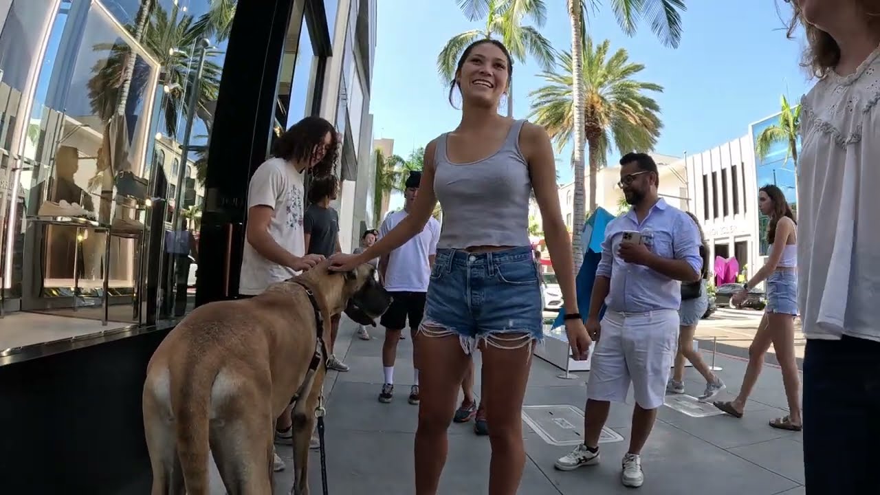 Cash 2.0 Great Dane на Rodeo Drive в Беверли-Хиллз 59