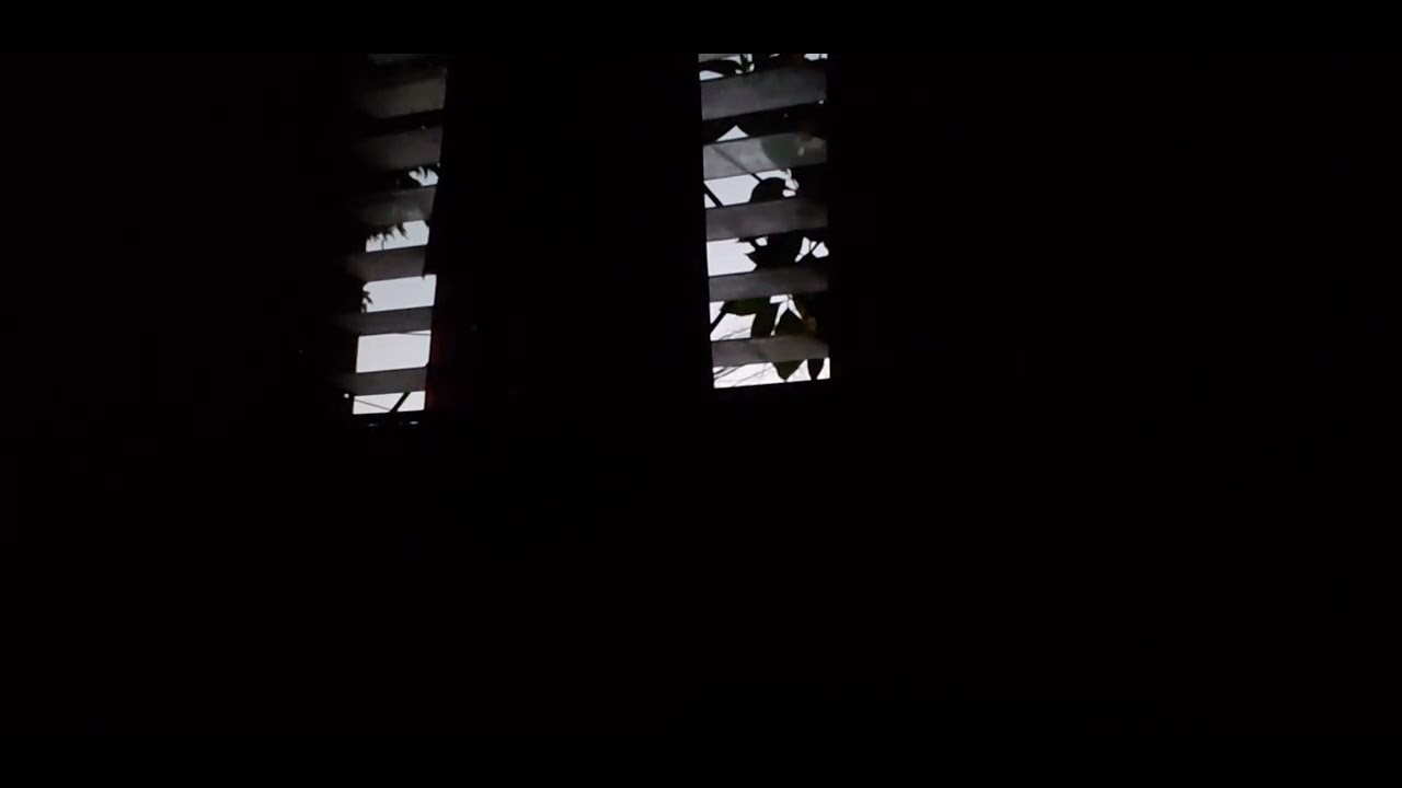 2. TE ESCRIBI UN REGGAETON(DETI:)