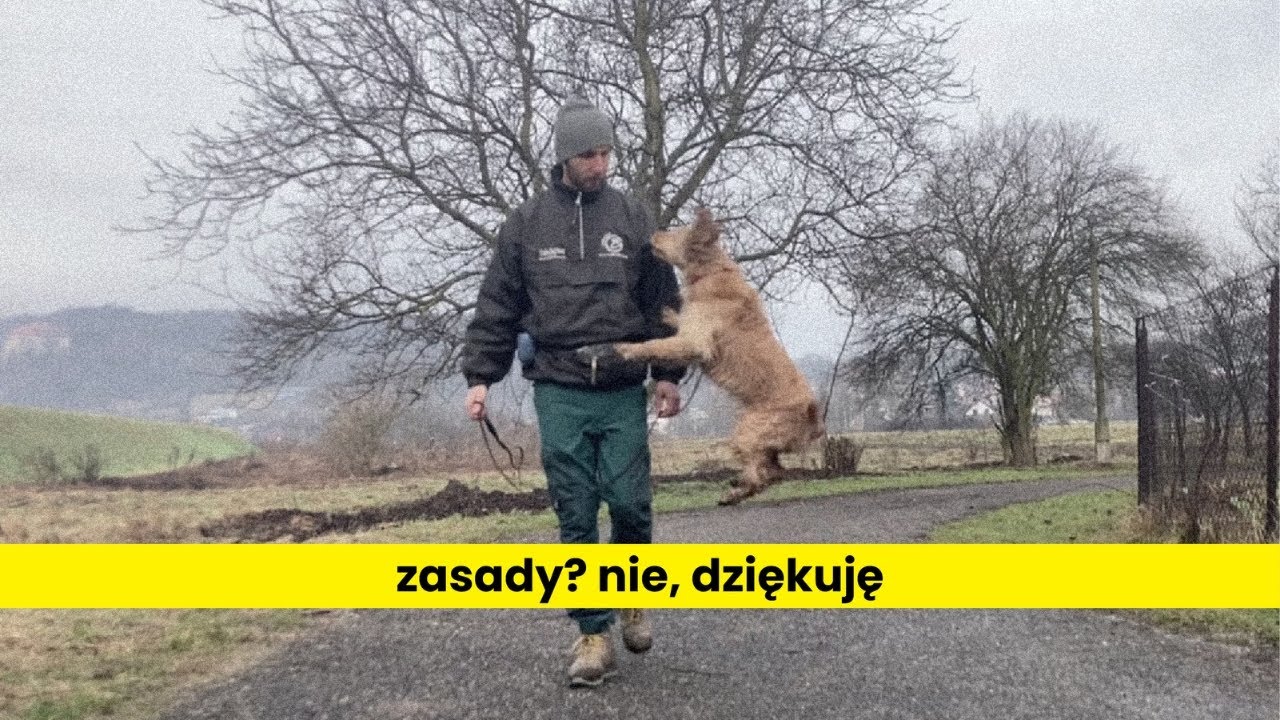 Jak się kończy bezstresowe wychowanie?