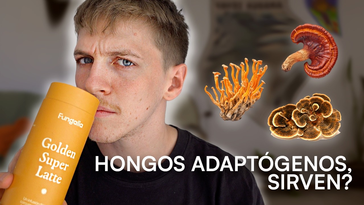 Tomé hongos adaptógenos por 30 días - Fungalia