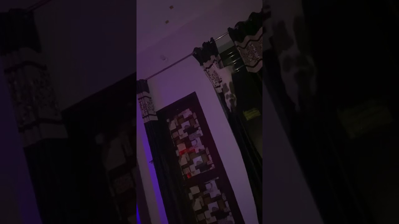 My cat’s late night routine I’m tired of it 