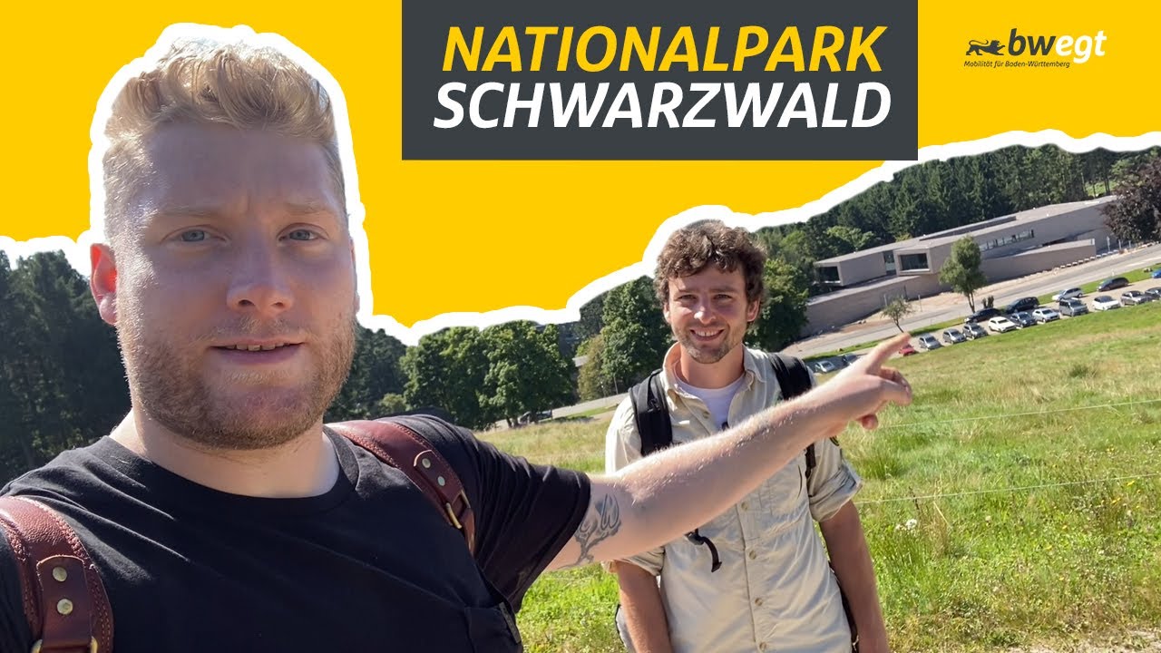 Ausflug in die Wildnis: Kevin im Nationalpark Schwarzwald