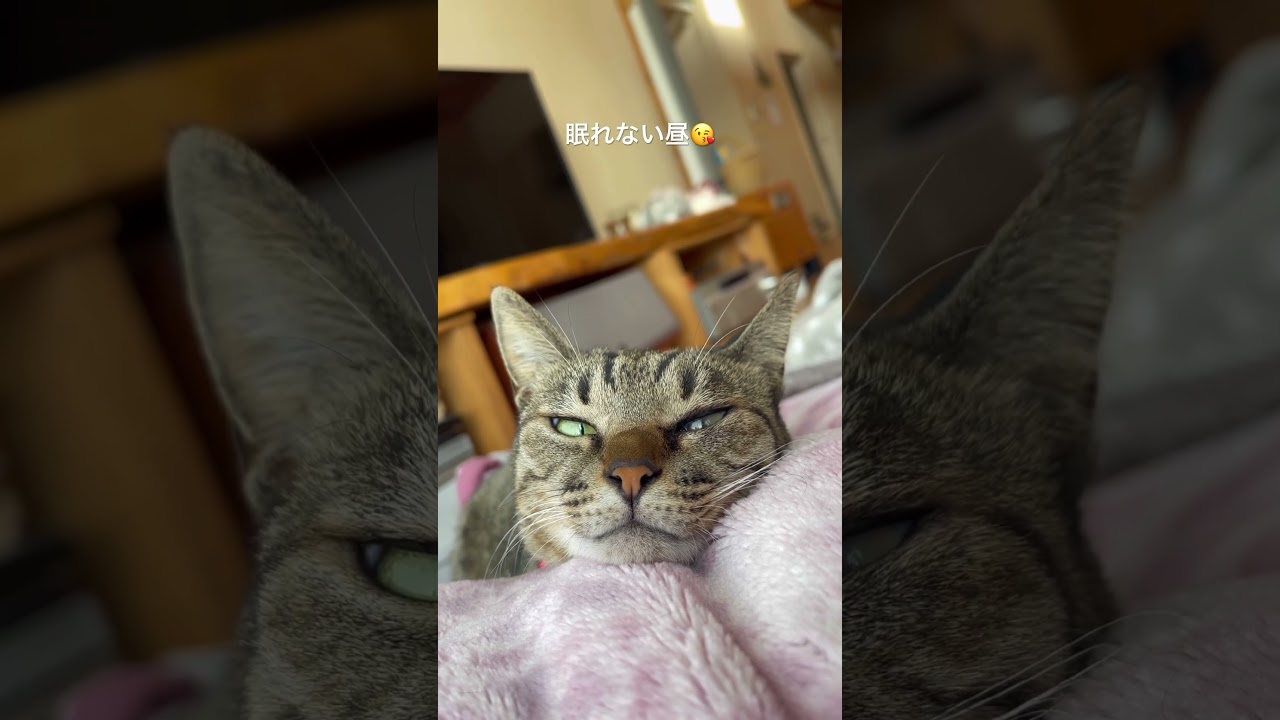 ノラ子💜💜 