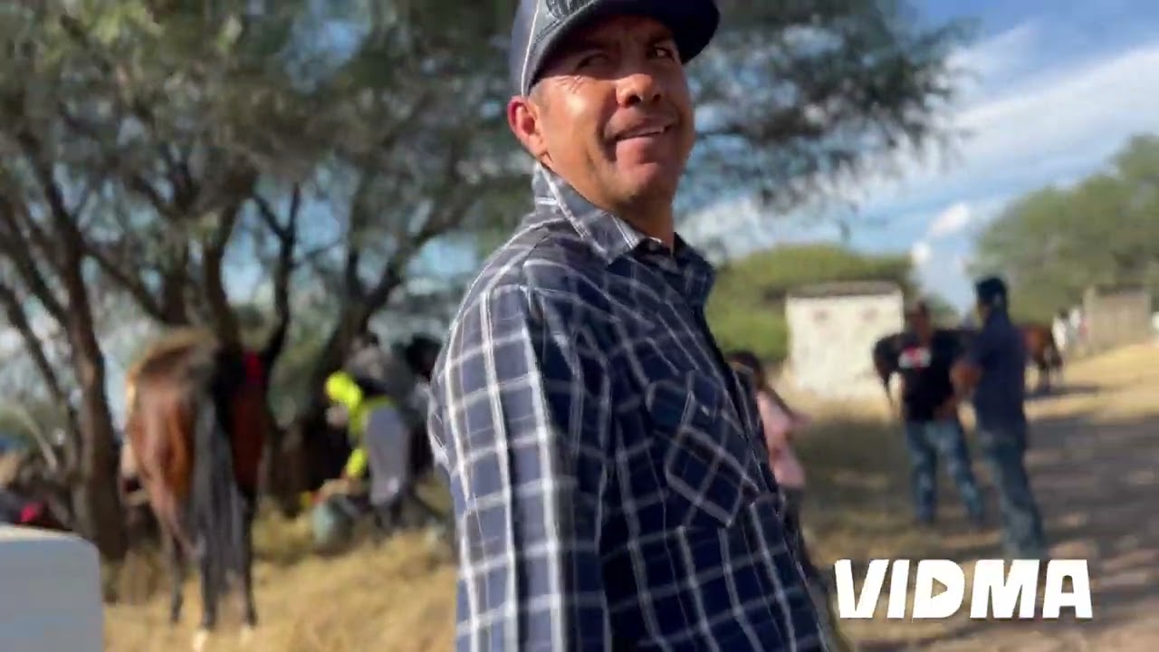 Villanueva, Zacatecas #horse #horseracing #equestrianjourney #youtubeshorts #zacatecas #mexico  ￼